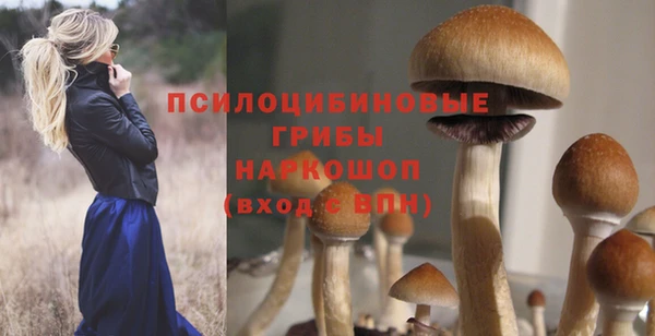 каннабис Майский