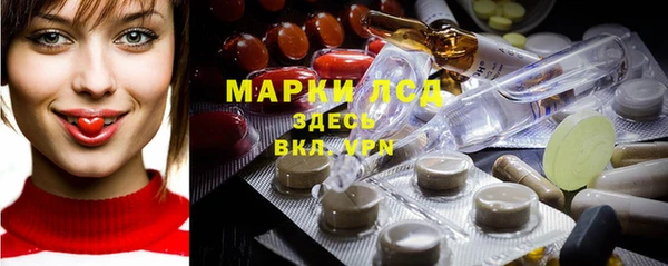 амф Липки
