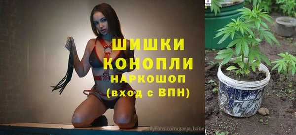 амф Липки