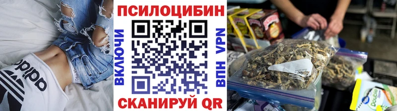 Галлюциногенные грибы Cubensis Купить Зима